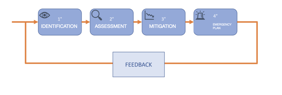 Risk management process