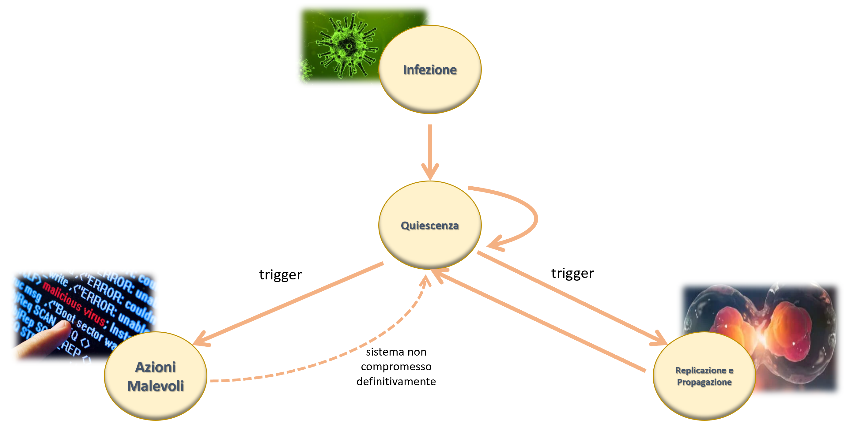 malware life cycle