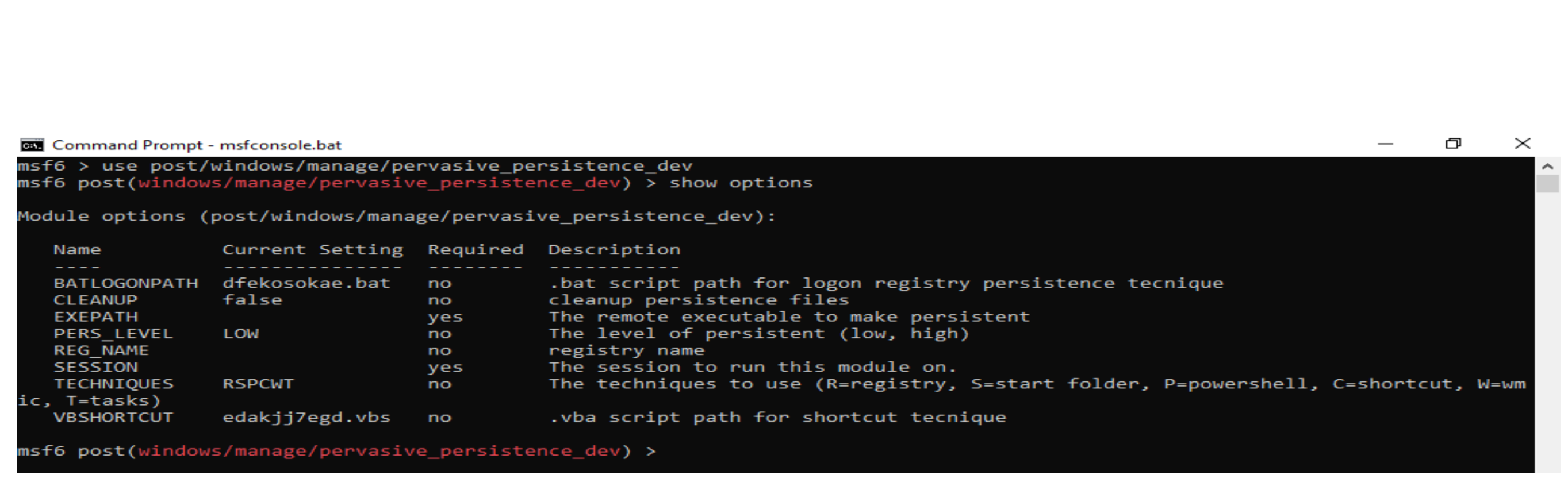 parameters of the Metasploit module
